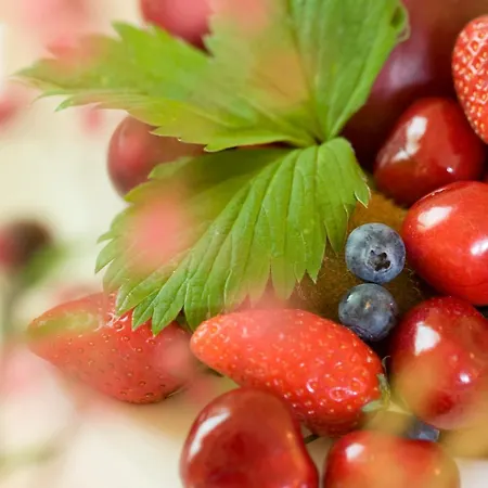 酒店 Logis Restaurant Le Provence 拉纳斯