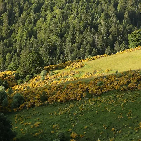 Logis Restaurant Le Provence 酒店