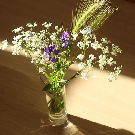 Logis Restaurant Le Provence Hotel 3*